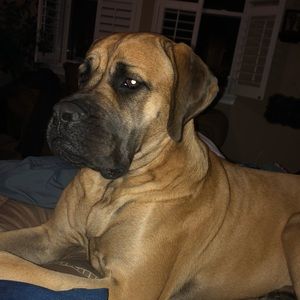 Meet your Posher, Michele